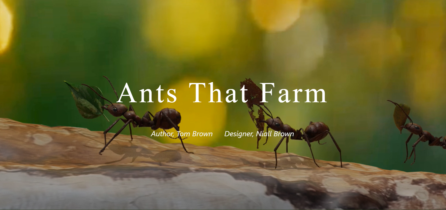 ants1